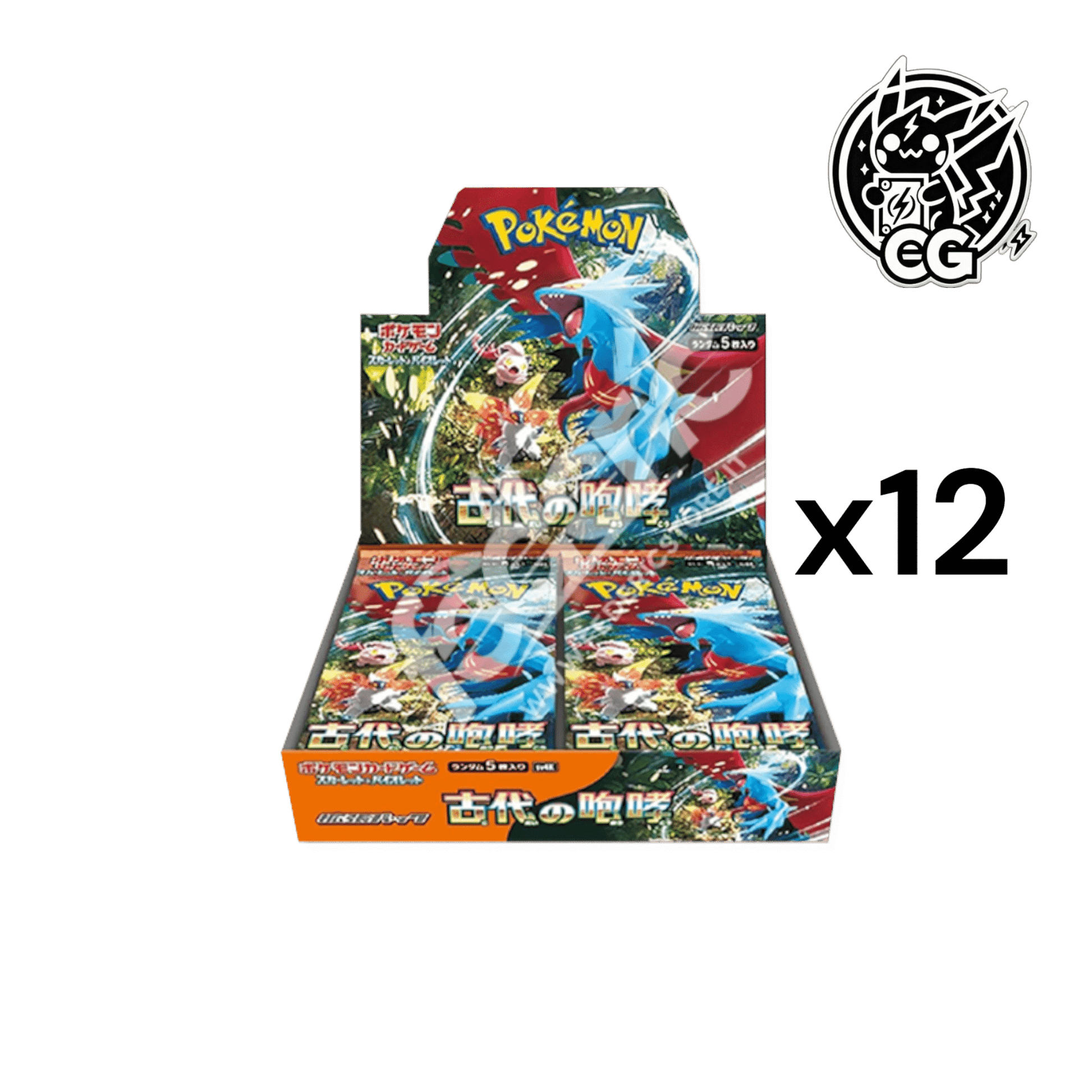 Ancient Roar case sv4K - CardsGeneration – Boutique de cartes à collectionner japonaises